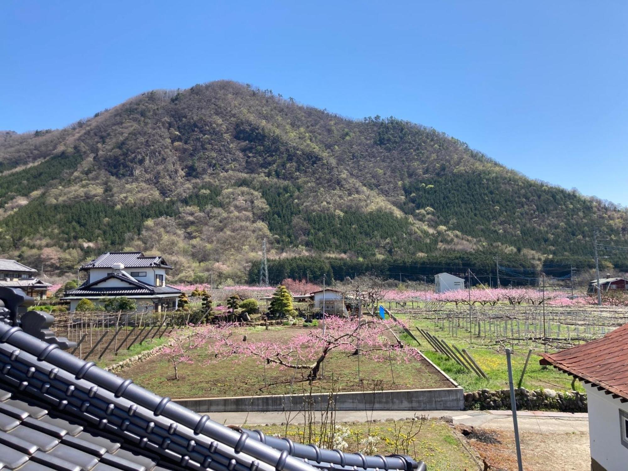 B&B Ladies Only Grape Mama Peach Room - Vacation Stay 11708 Koshu ภายนอก รูปภาพ